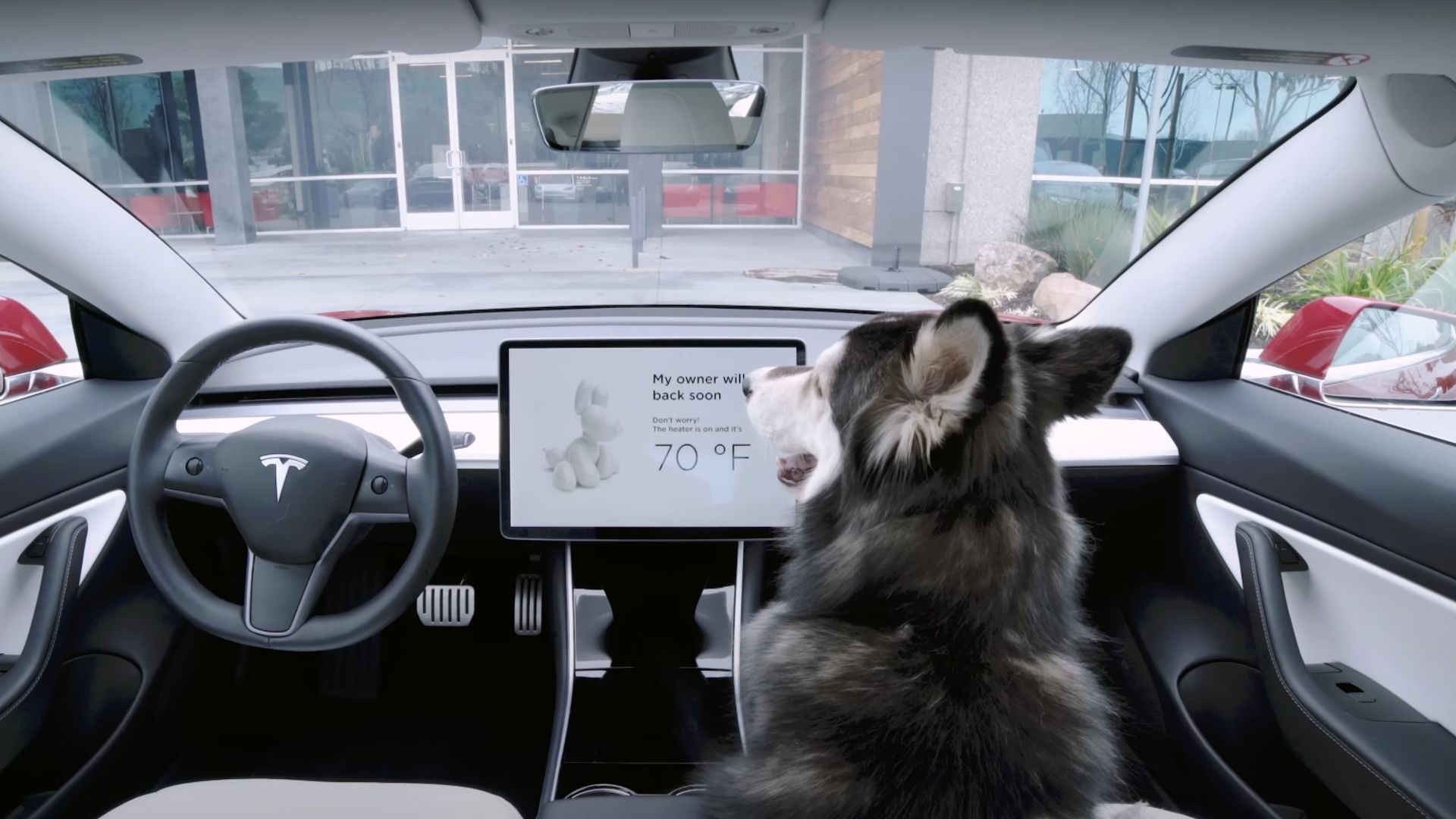 Tesla's latest Dog Mode update raises reliability concerns (Source: Tesla)